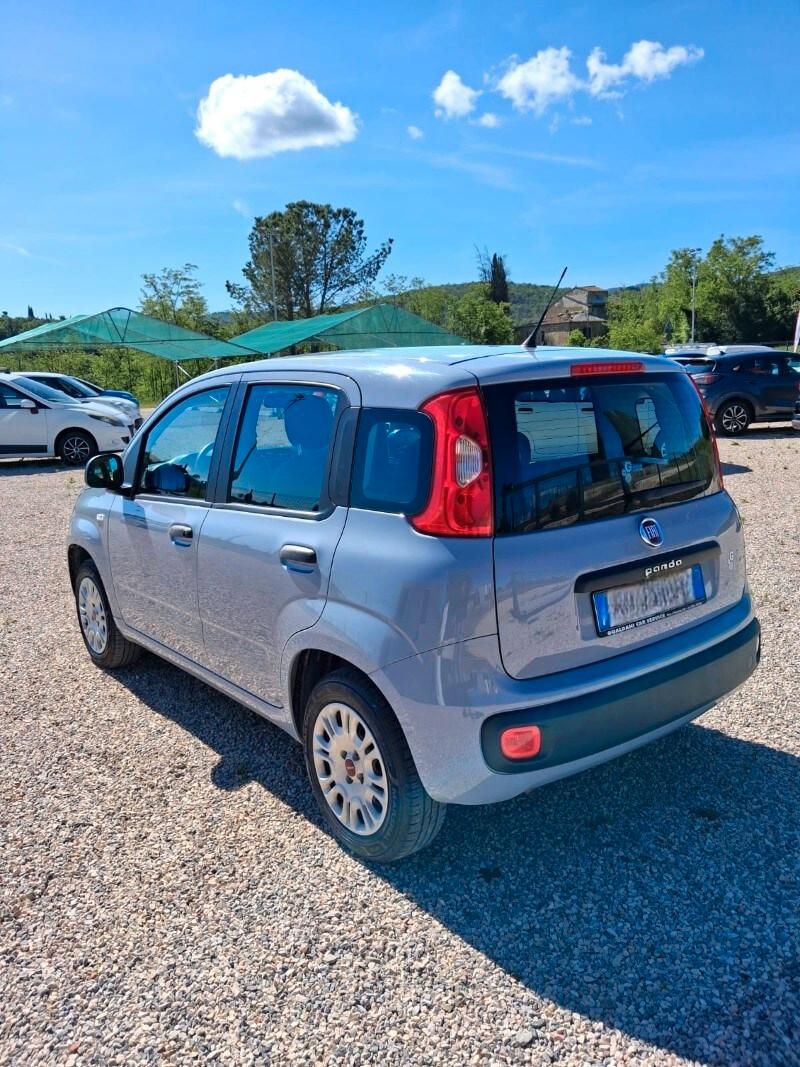 FIAT Panda 3ª serie Panda 1.2 Easy