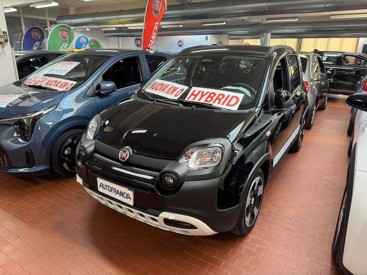 Fiat Panda Pandina 1.0 FireFly 65 CV Hybrid Cross