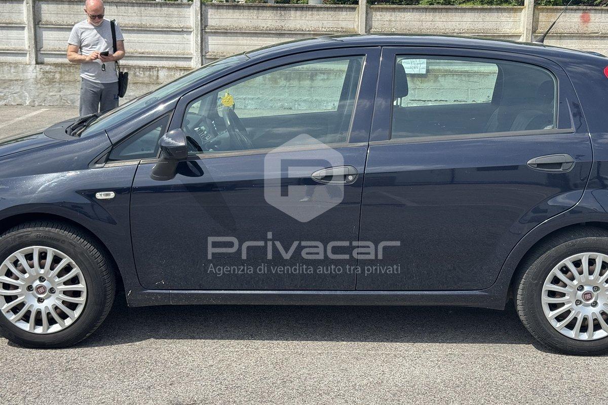 FIAT Punto 1.4 8V 5 porte Easypower Young