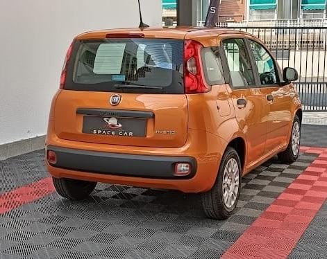 FIAT Panda 3ª serie Panda 1.0 FireFly S&S Hybrid