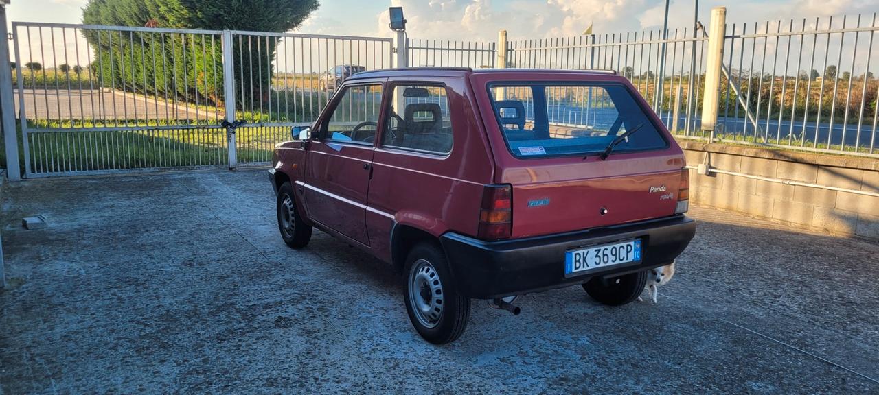 Fiat Panda 900 i.e. cat Young