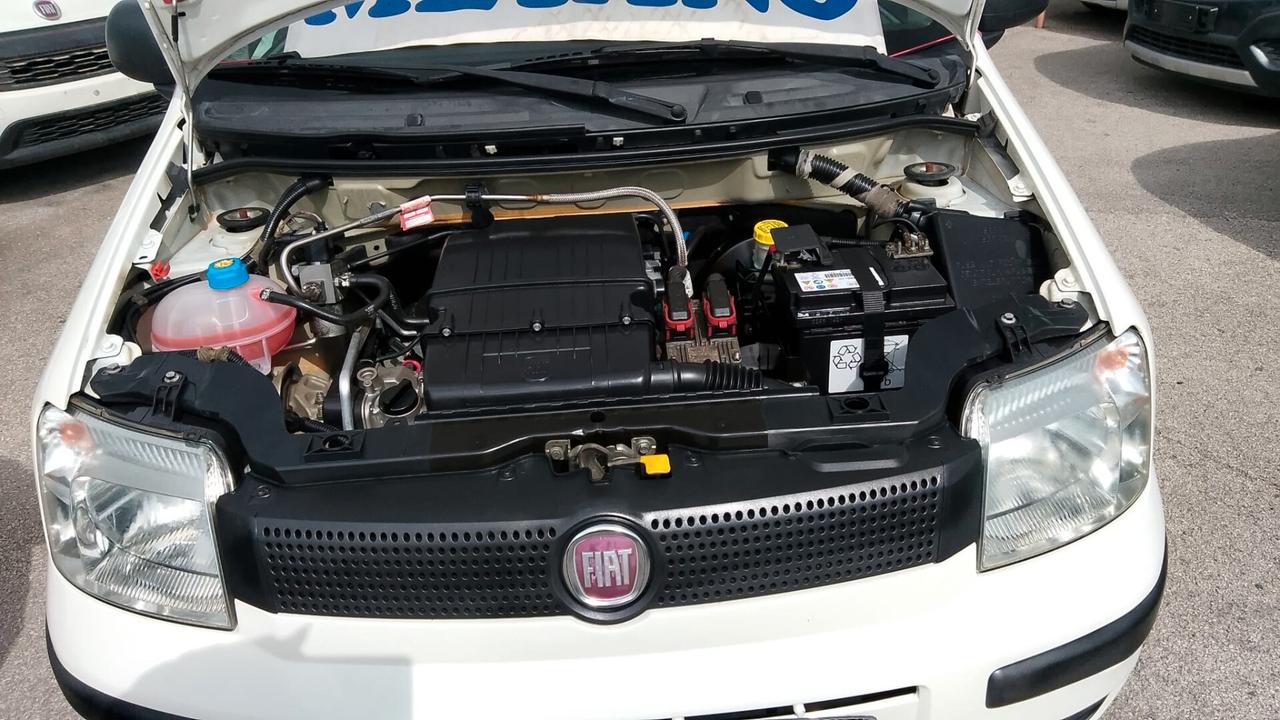 Fiat Panda 1.4 Natural Power neo patentati
