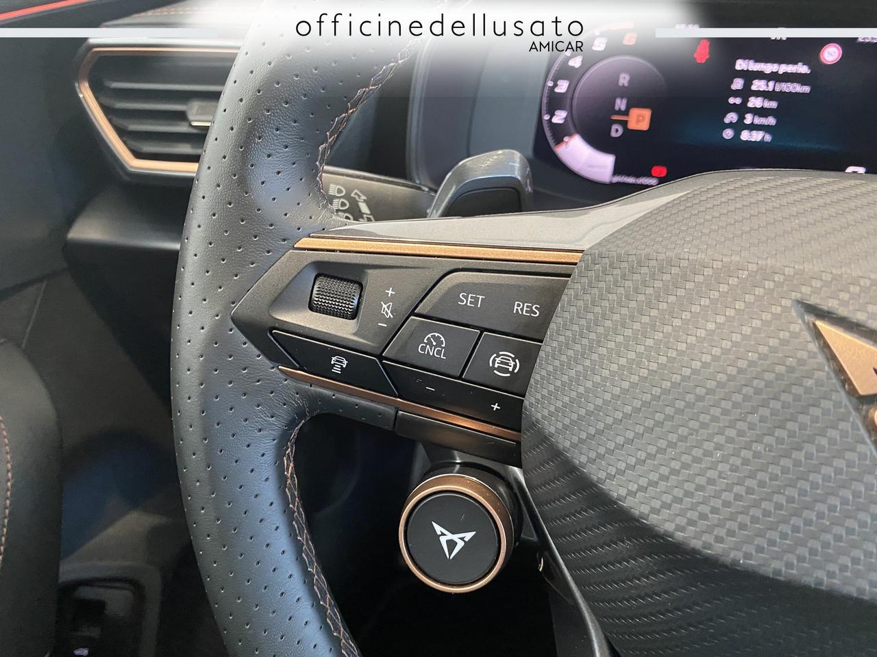 Cupra Formentor 2.0 tdi 150cv dsg