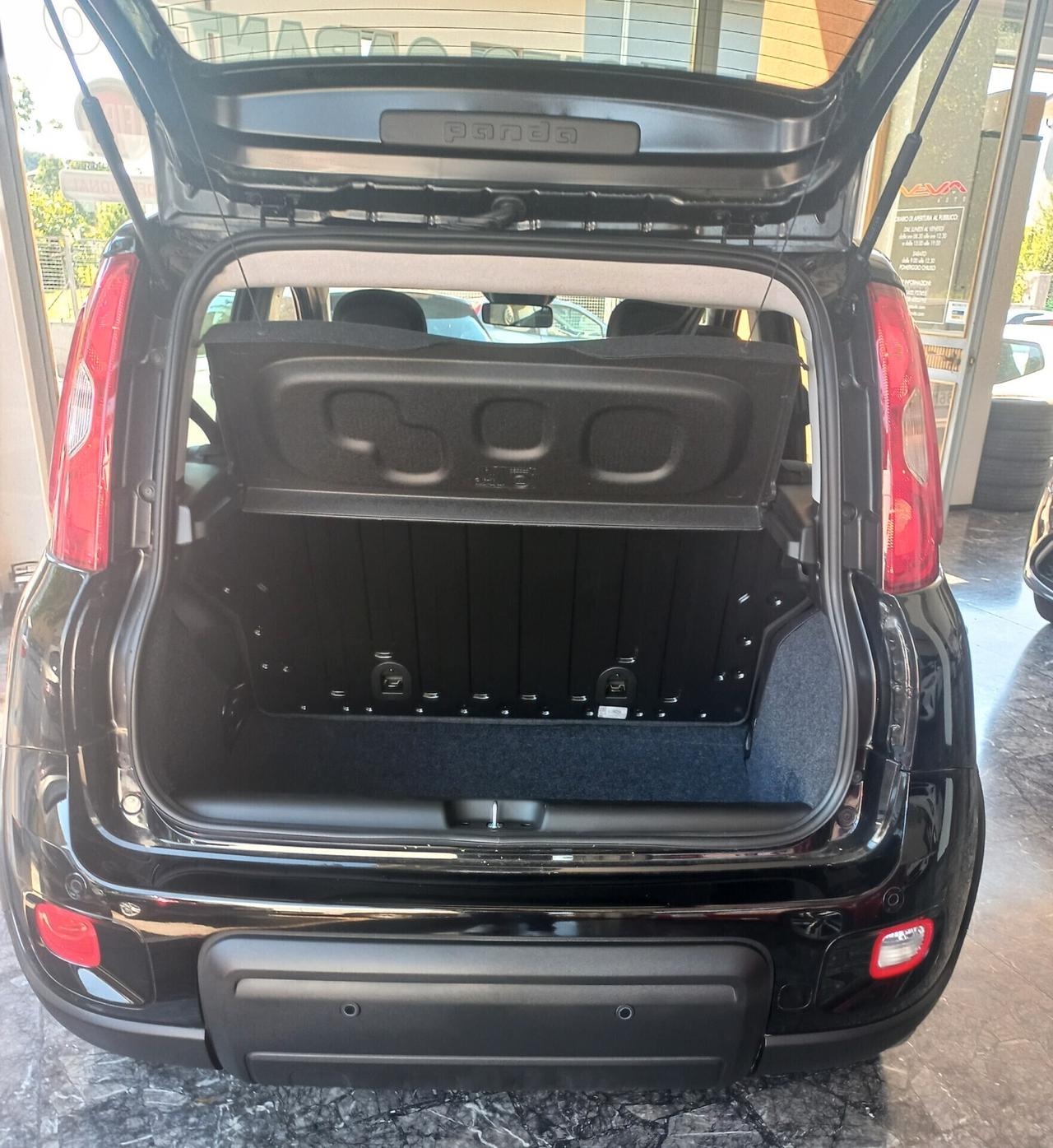 Fiat Panda 1.0 FireFly S&S Hybrid Pandina