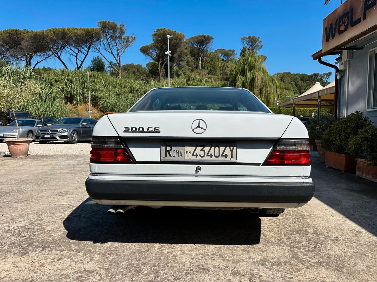 Mercedes-benz CE 300 300CE W124 12 valvole