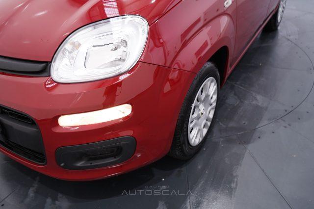 FIAT New Panda My25 1.0 FireFly S&S Hybrid