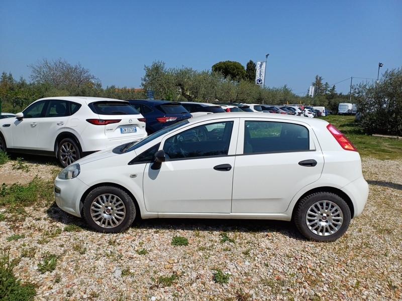 FIAT PUNTO 1.3 MULTIJET STREET 95 CV SES EU6 5 PORTE BERLINA