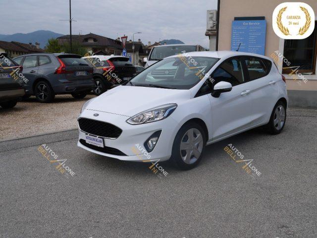 FORD Fiesta 1.5 EcoBlue 5 porte Business