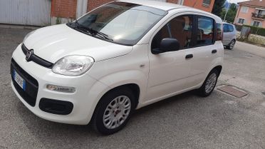 FIAT PANDA 1.2 Easy 2016 neopatentati