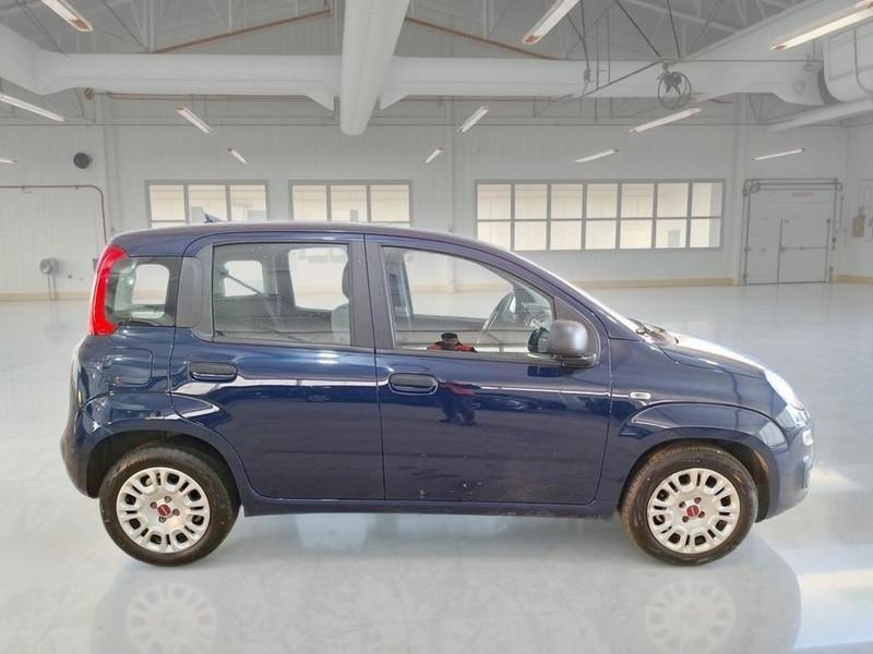 FIAT PANDA 1.0 FIREFLY 70 CV SES HYBRID 5 PORTE BERLINA