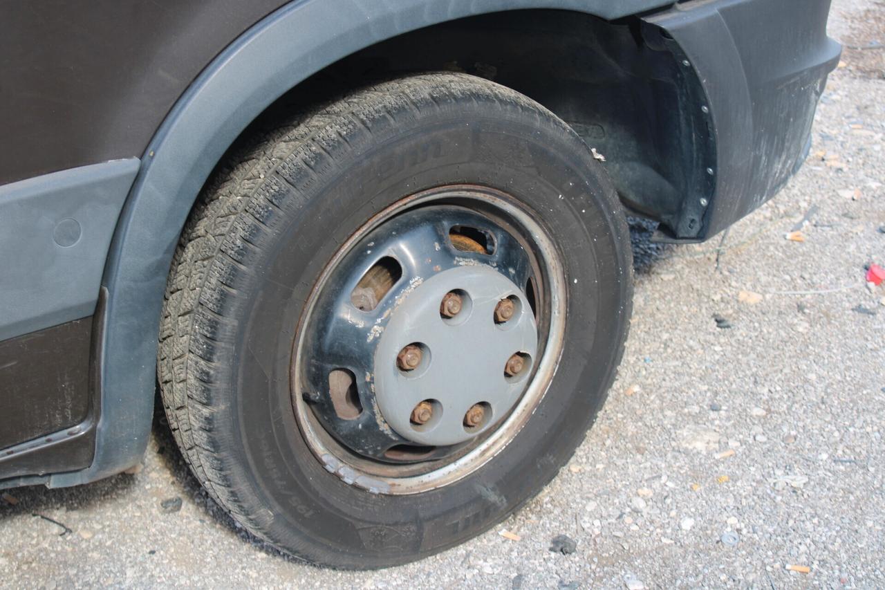 Iveco Daily 35C17LV BTor 3.0Y TASPORTO CAVALLI