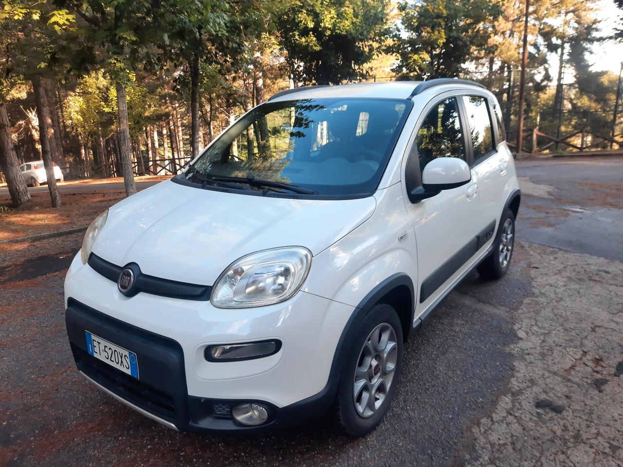 FIAT PANDA 4X4 ANTARTICA 75 CV