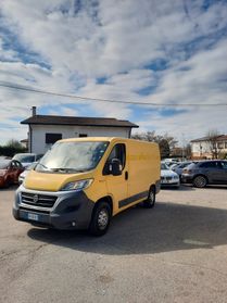 Fiat Ducato 30 2.3 MJT 130CV PR.IVATO PC-TN Furgone