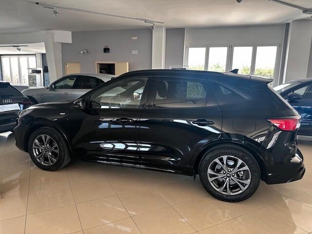 Ford Kuga 1.5 EcoBlue 120 CV aut. 2WD ST-Line X