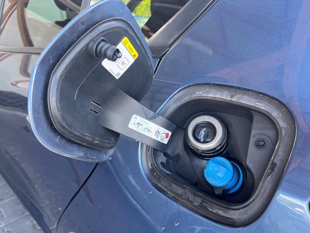 FORD Focus 2.0 EcoBlue 150 CV automatico 5p. ST-Line Co-Pilot del 2019