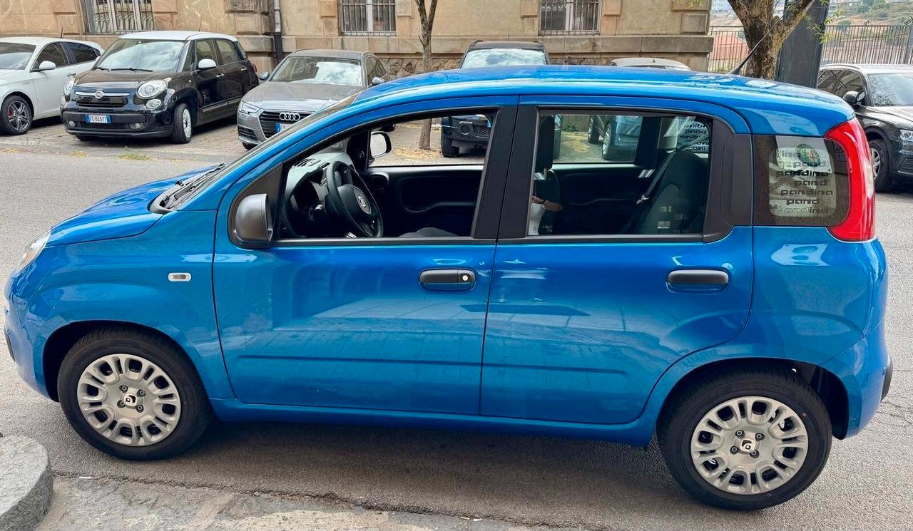 Fiat Panda Pandina 1.0 FireFly 65 CV Hybrid Pop