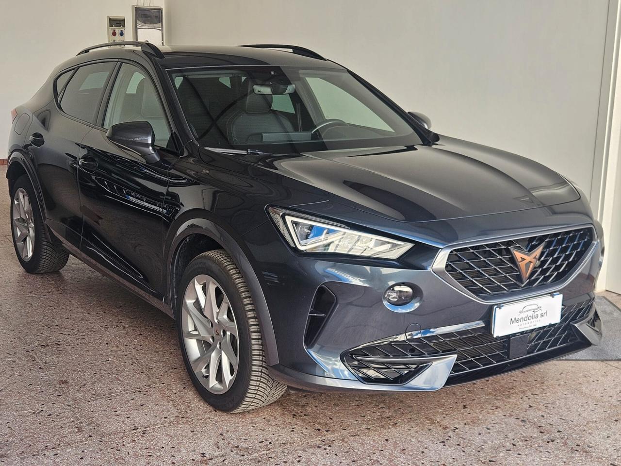 Cupra Formentor 2.0 TDI 4Drive DSG
