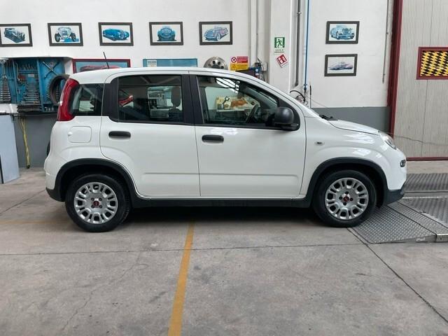 Fiat Panda 1.0 FireFly S&S Hybrid City Life Schermo Digitale Aziendale