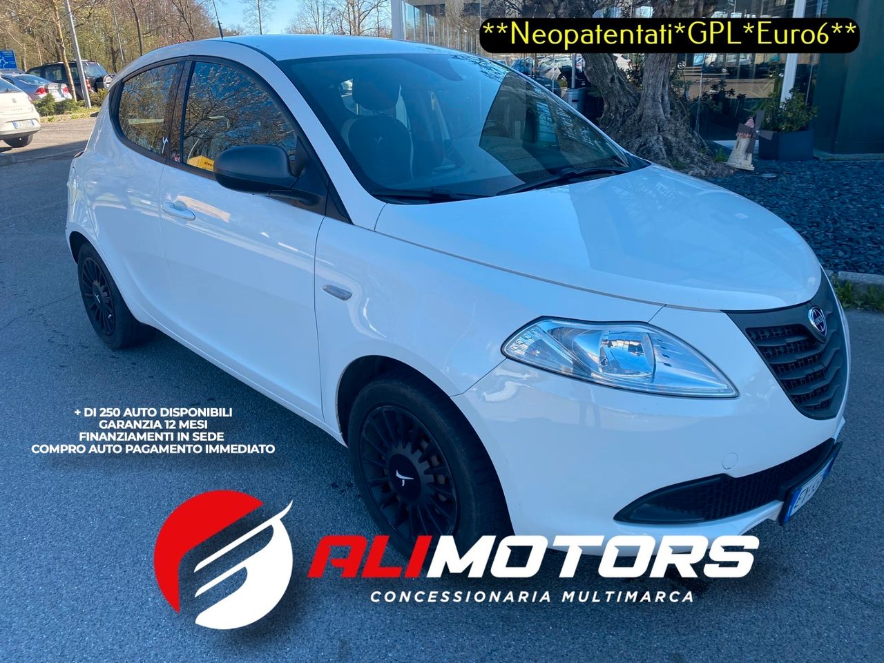 Lancia Ypsilon 1.2 69 CV 5 porte GPL Ecochic Gold ***NEOPATENTATI*EURO6***