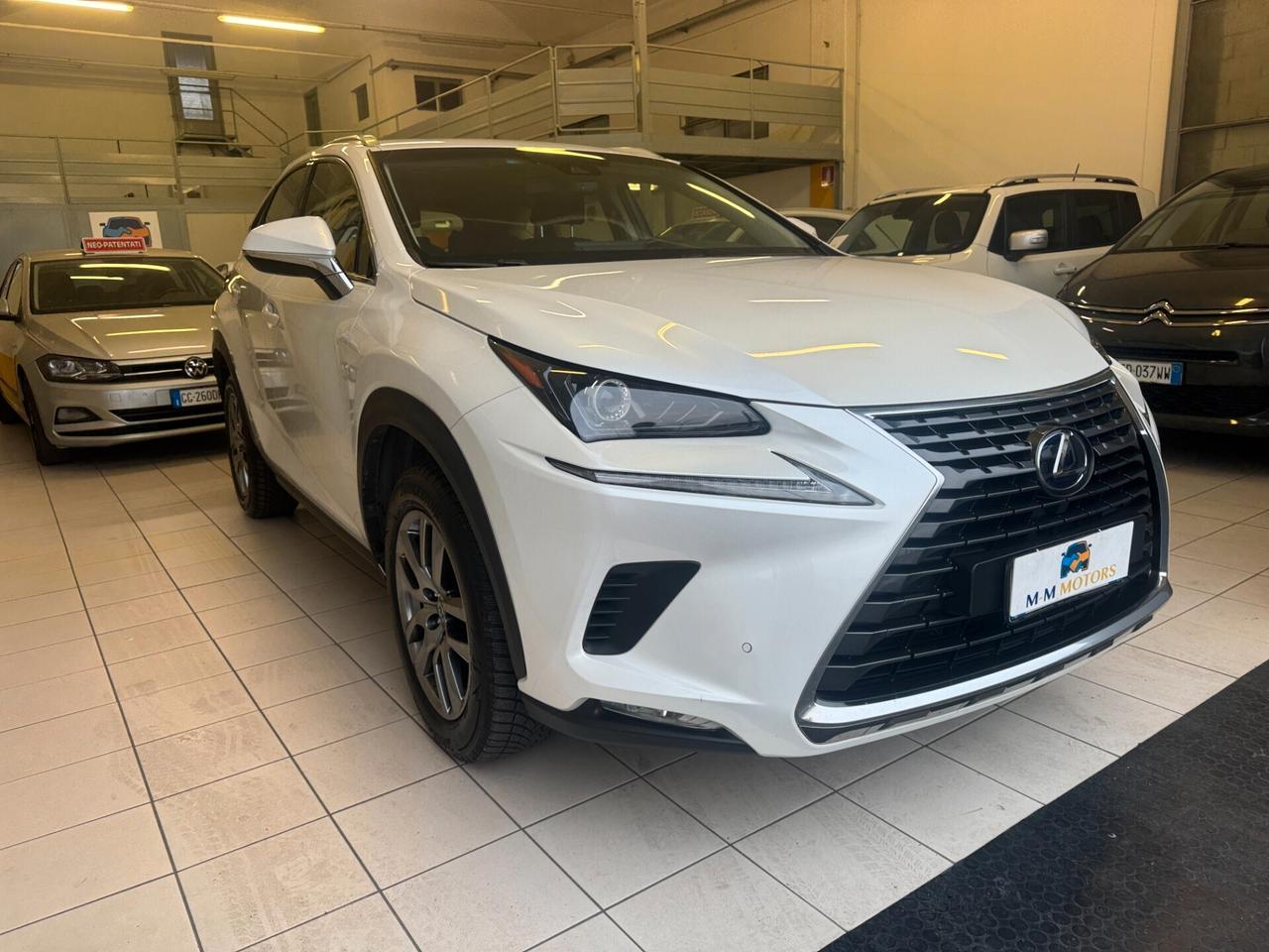 Lexus NX 300h hybrid 2.5 Business 2wd cvt
