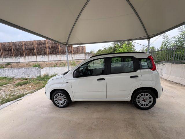 FIAT Panda 1.2 Easy EURO 6 5 POSTI OK NEOPATENTATI
