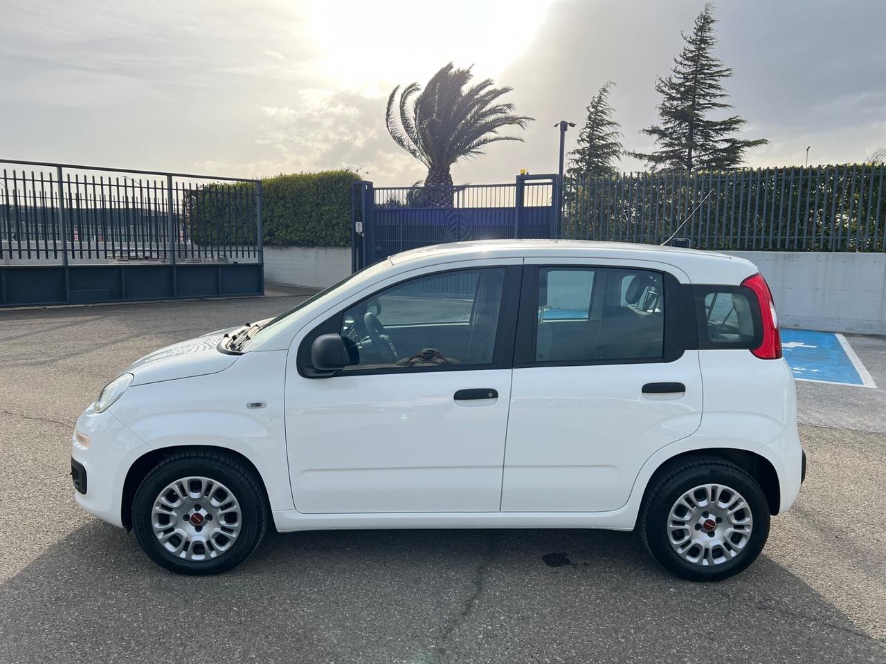 Fiat Panda 1.3 MJT 80cv N1 Lounge - 2019