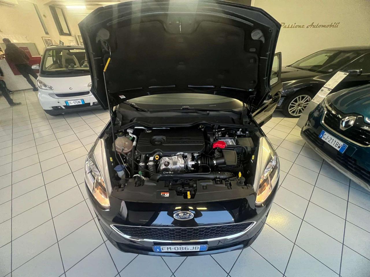 Ford Fiesta Fiesta VII 5p 5p 1.5 tdci Titanium 85c