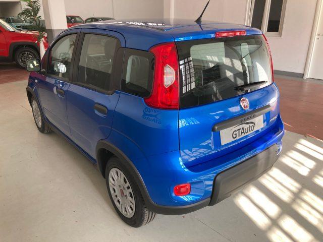 FIAT Panda 1.0 FireFly S&S Hybrid PROMO FINANZIAMENTO