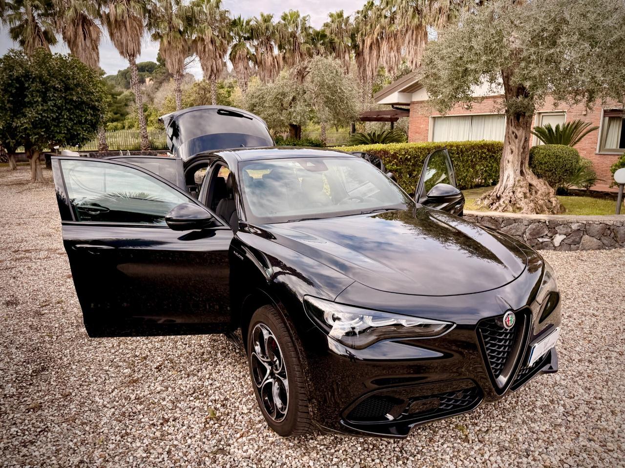 Alfa Romeo Stelvio 2.2 Turbodiesel 210 CV AT8 Q4 Veloce Fatture Tagliandi