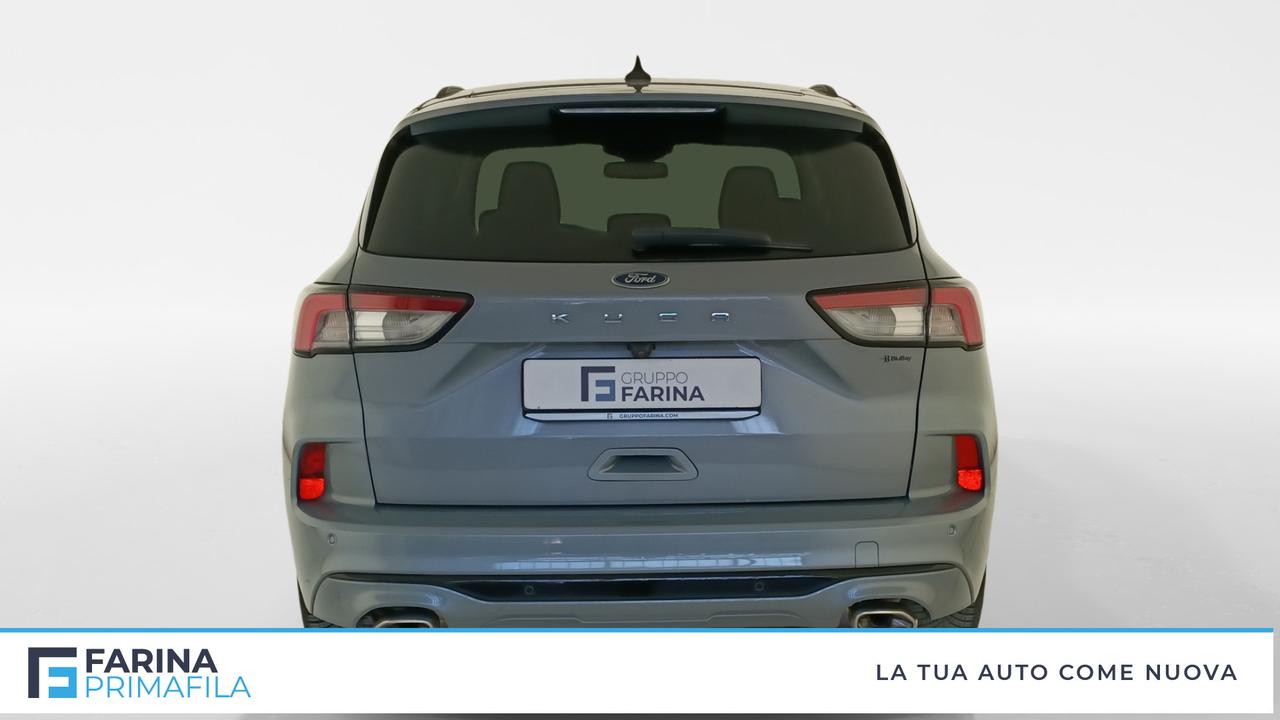 FORD Kuga III 2020 - Kuga 1.5 ecoblue ST-Line Design 2wd 120cv