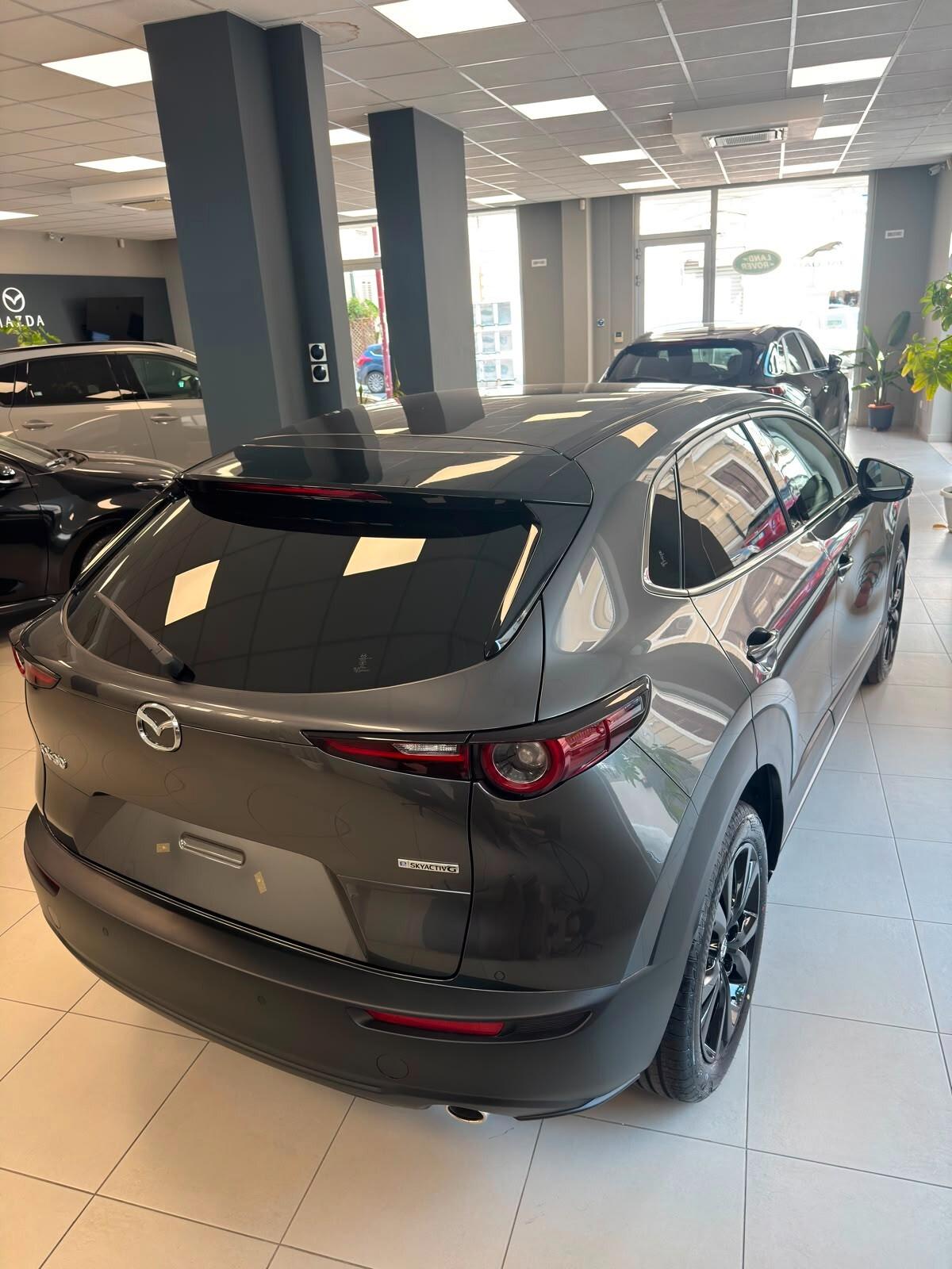 Mazda CX-30 e-Skyactiv-G M Hybrid 2WD Nagisa