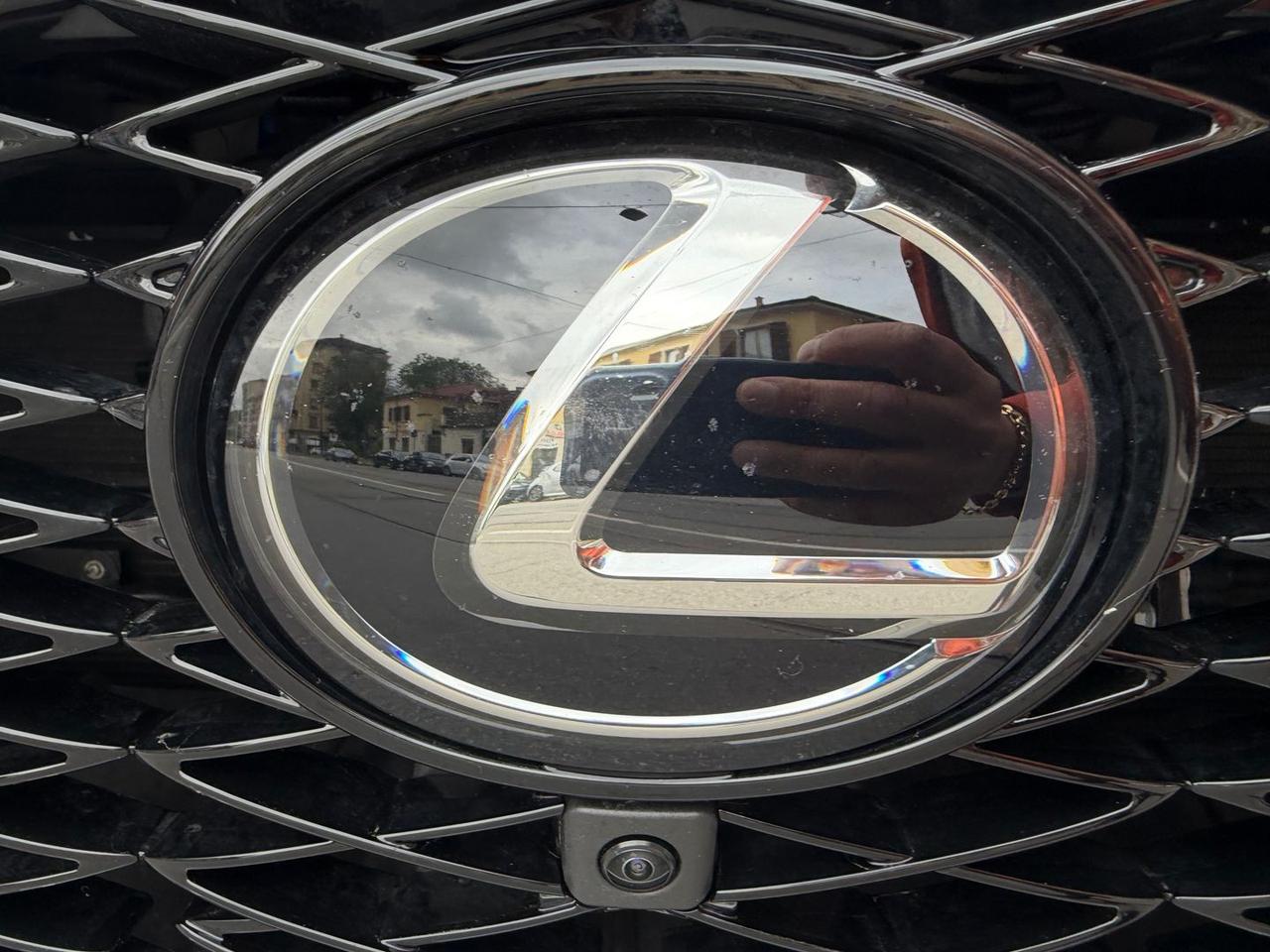 Lexus NX 450h+ PHEV F Sport #10724