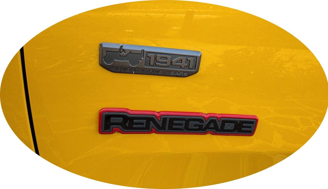 Jeep Renegade 2.0 Mjt 170CV 4WD Active Drive Low Trailhawk