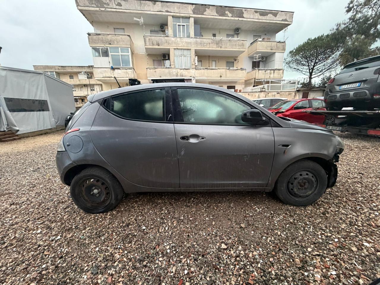 Lancia Ypsilon 1.3 MJT 16V 95 CV 5 porte S&S Platinum