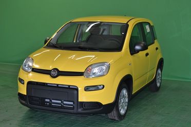 FIAT PANDA - 1.0 70CV HYBRID