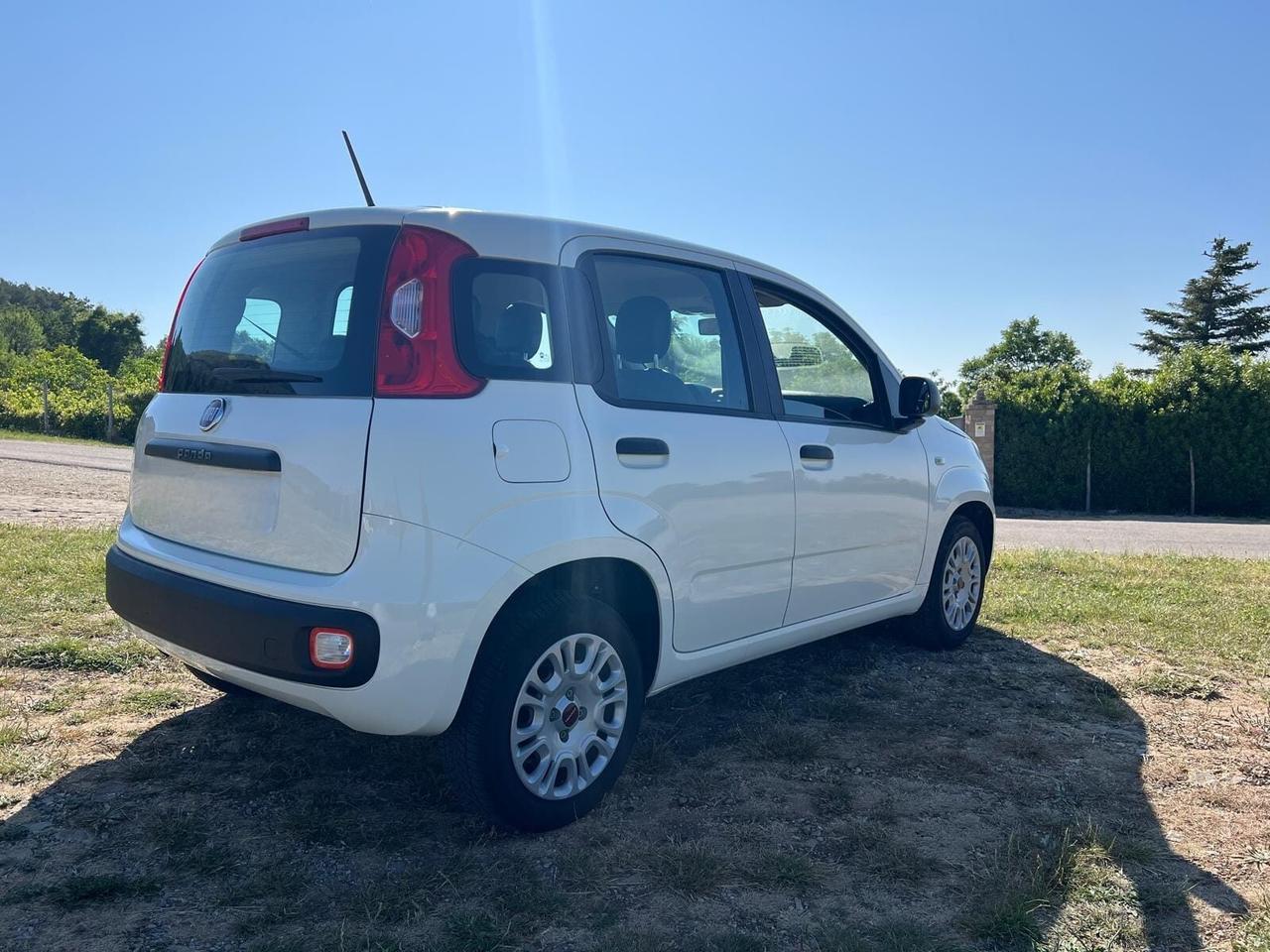 Fiat Panda 1.2 Easy 16v