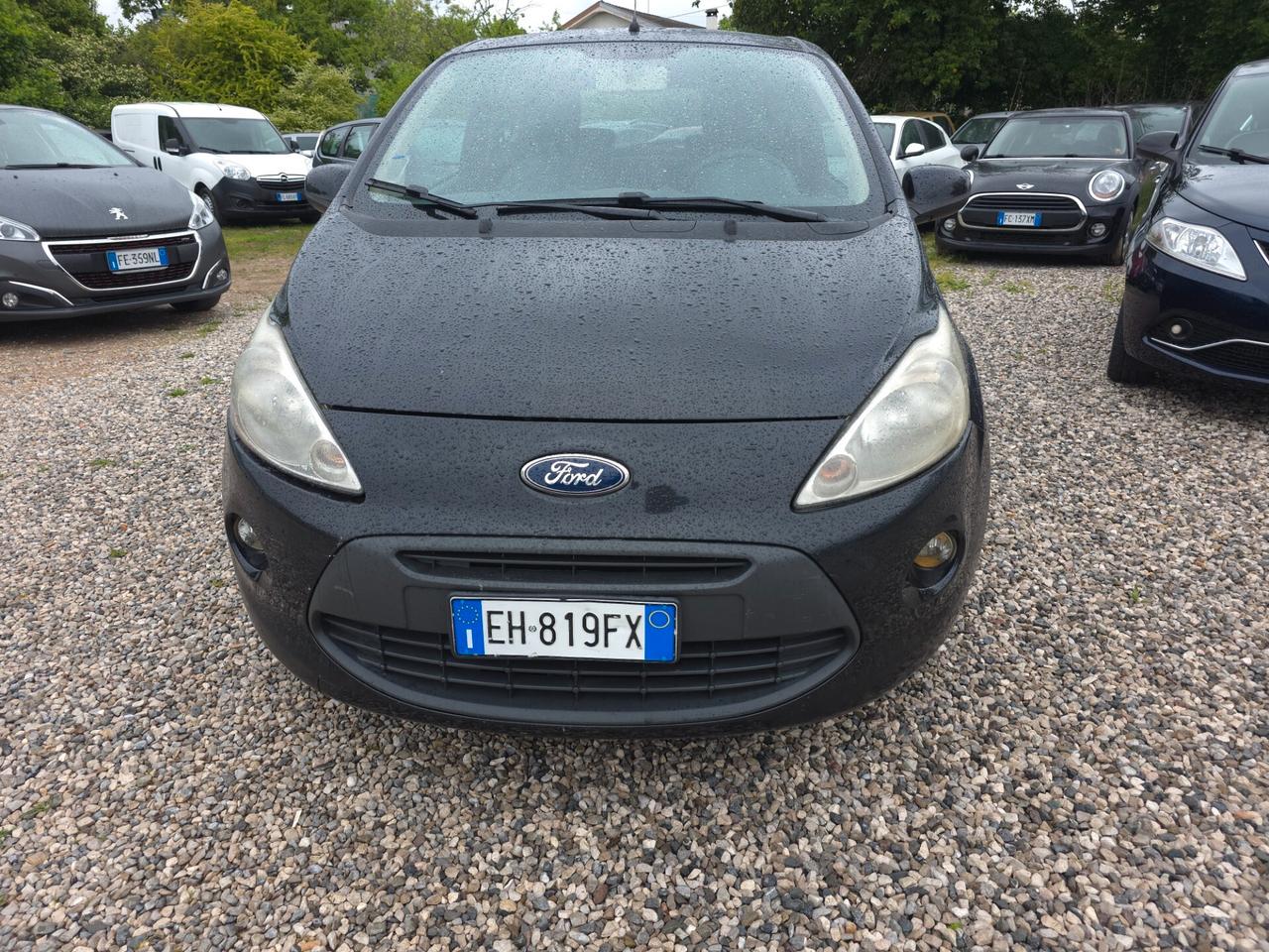 Ford Ka Ka+ 1.2 8V 69CV Business
