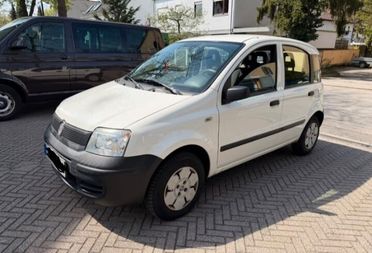 Fiat Panda 1.2 Emotion neopatentati