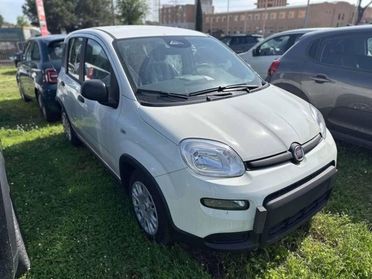 FIAT Pandina III 2024 - Pandina 1.0 firefly hybrid Icon s&s 65cv