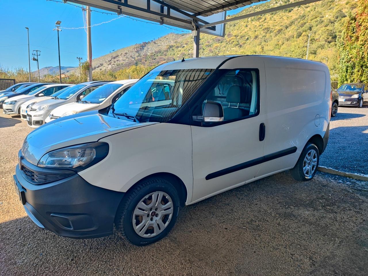 Fiat Doblo Doblò 1.6 MJT 95CV S&S Lounge RISERVATO A COMMERCIANTI