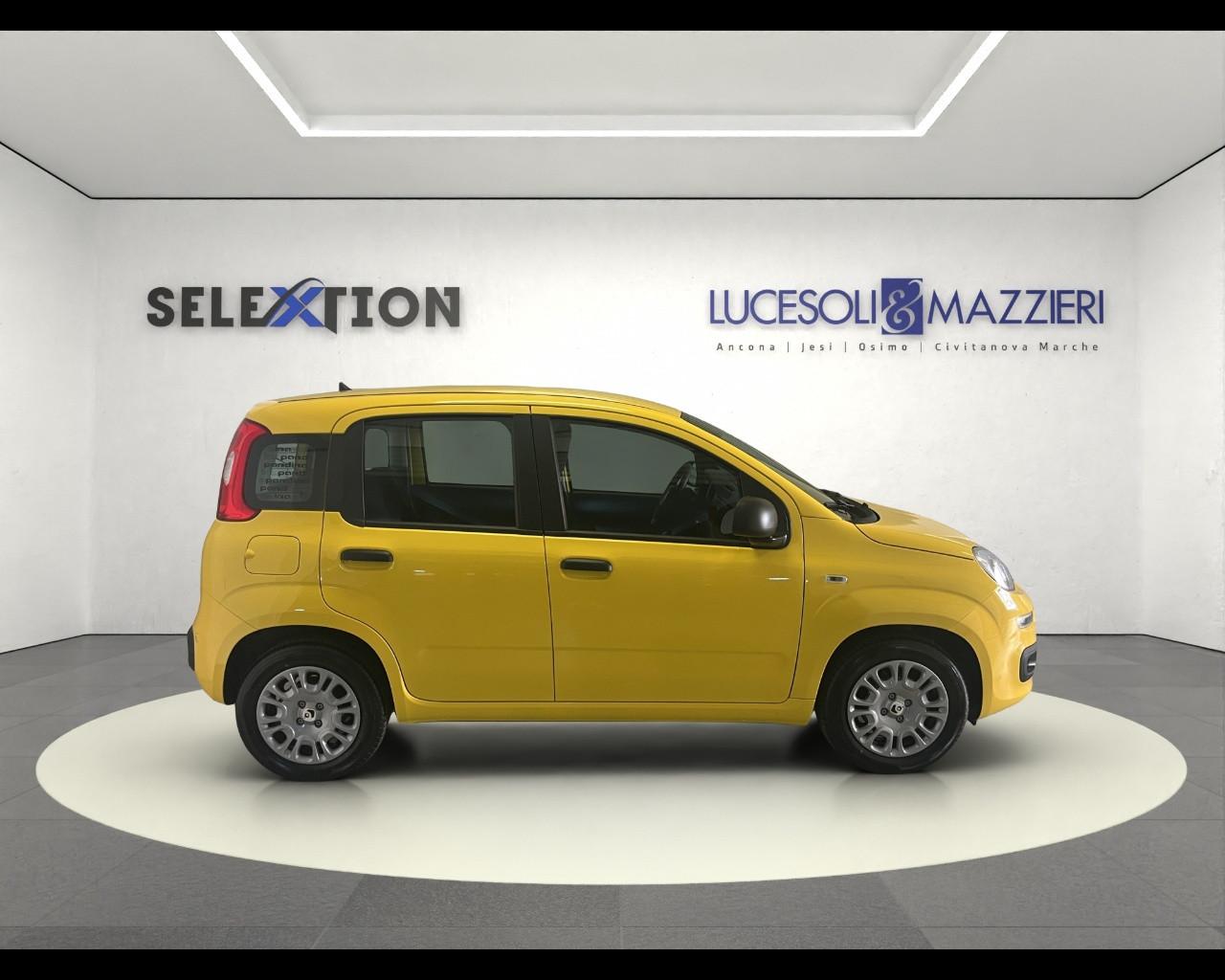 FIAT Pandina - Pandina 1.0 FireFly 65 CV Hybrid Pop