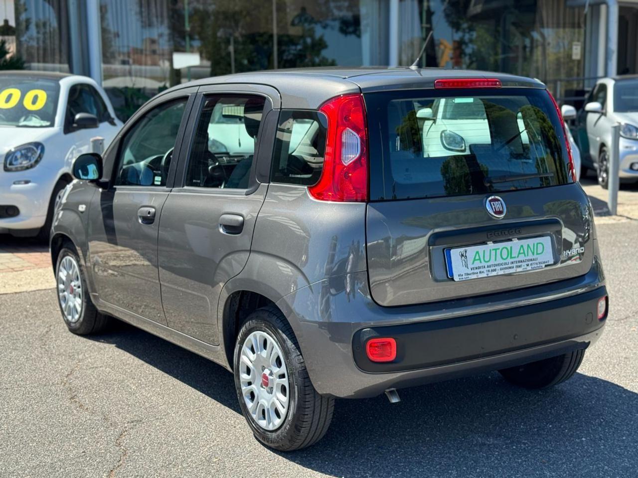 FIAT Panda 1.0 FireFly S&S Hybrid Sensori Parcheggio