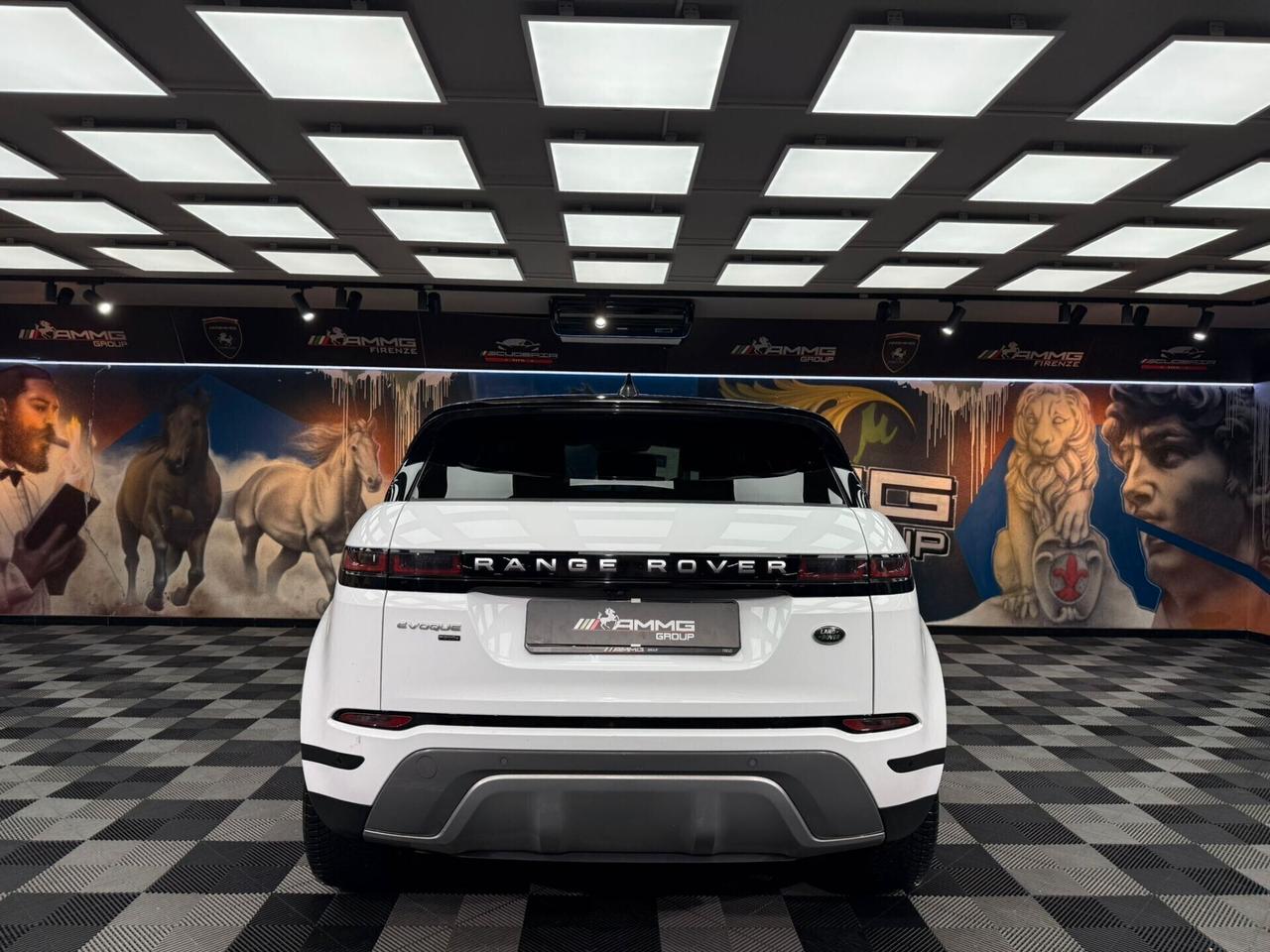 Land Rover Range Rover Evoque 2.0 I4 200 CV AWD Auto S (387)