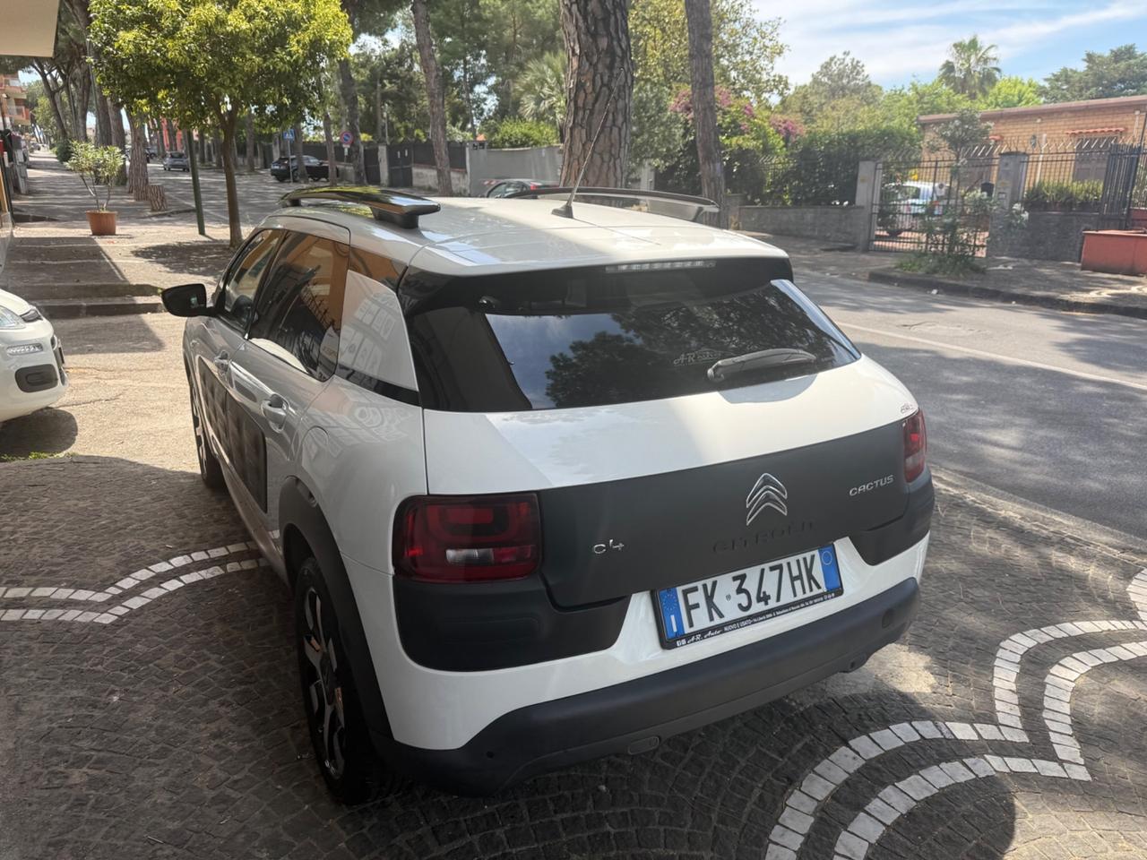 Citroen C4 Cactus BlueHDi 100 S&S ETG6 Shine