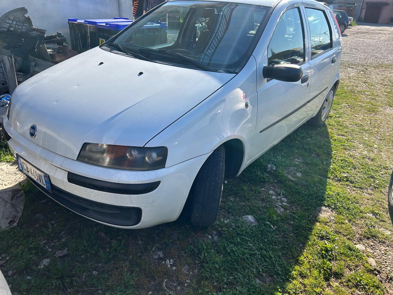 Fiat Punto 1.2i cat 5 porte Verve