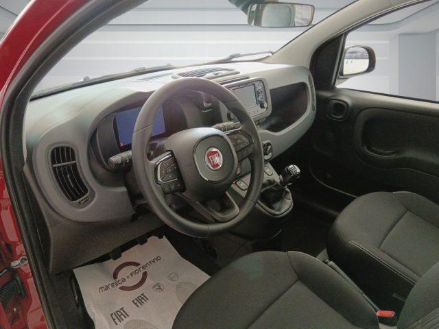FIAT Panda 1.0 FireFly S&S Hybrid Icon