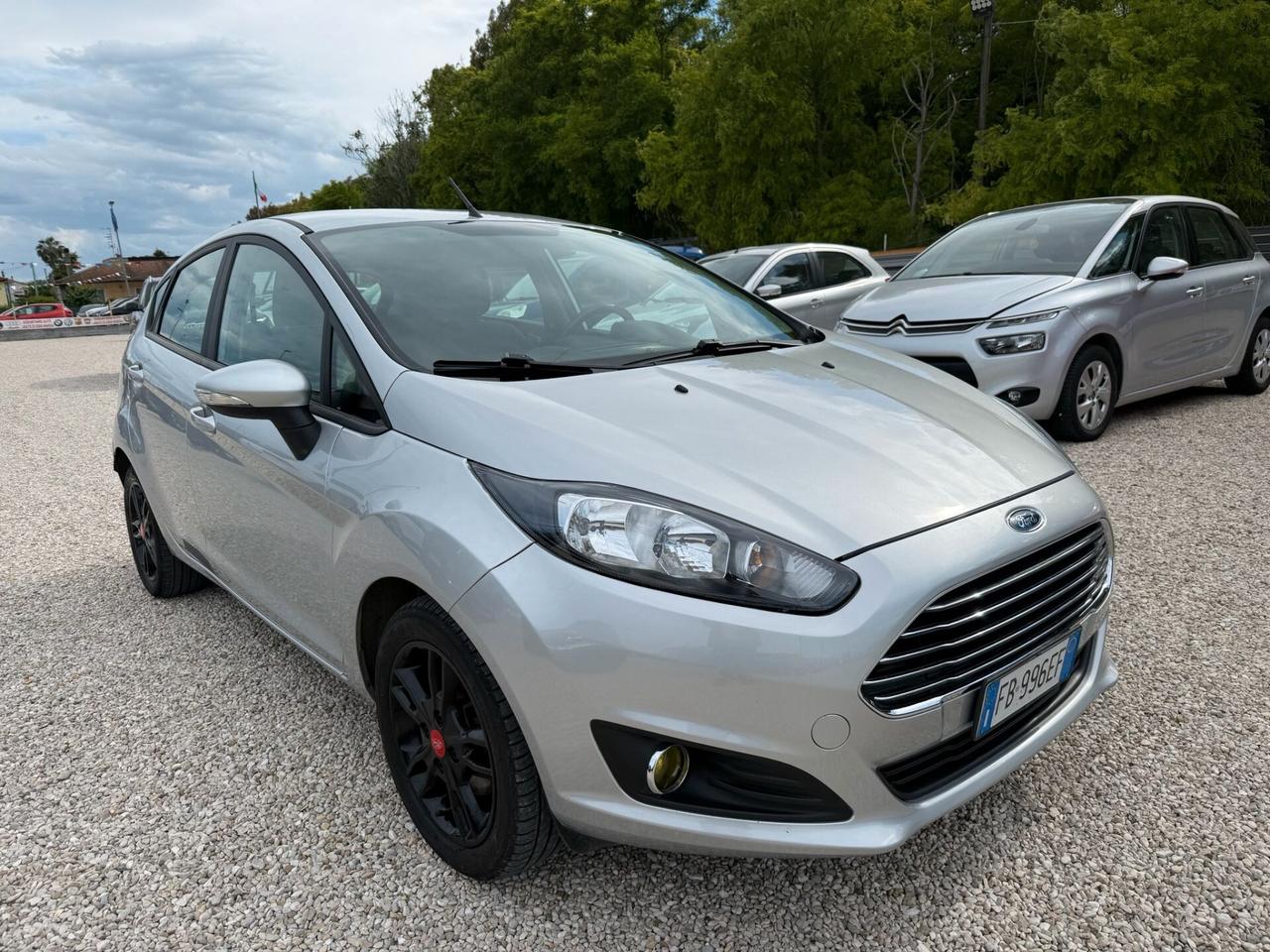 Ford Fiesta 1.5 TDCi 75CV 5 porte Black & White Edition