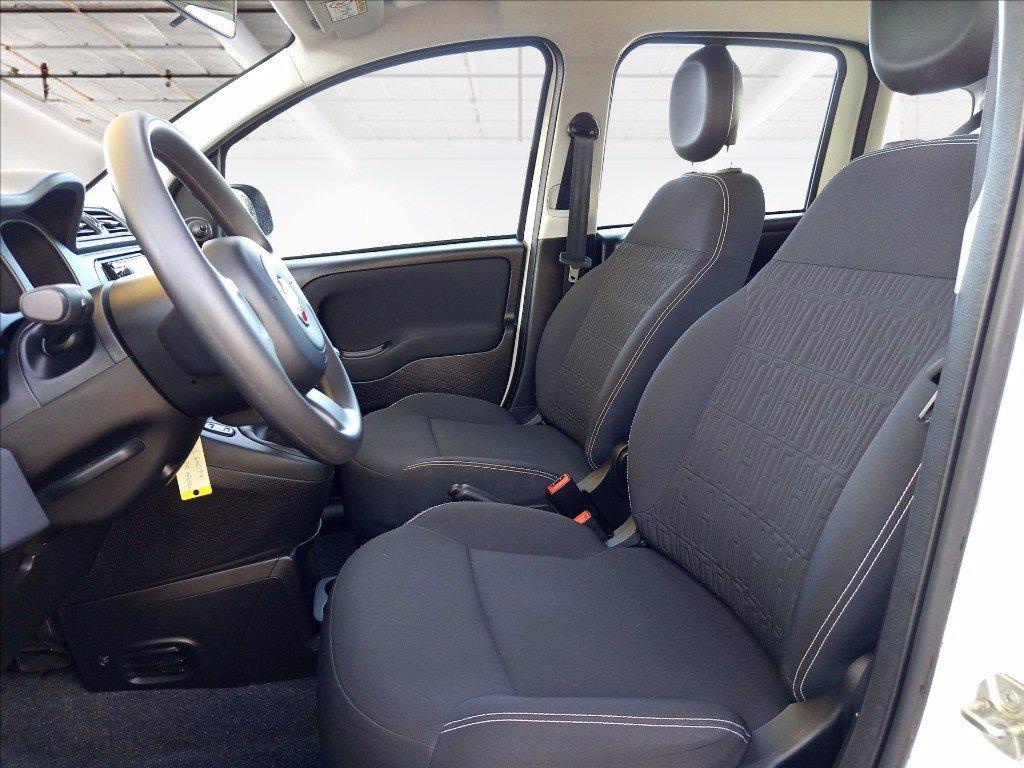 FIAT Panda 1.0 firefly hybrid s&s 70cv del 2024