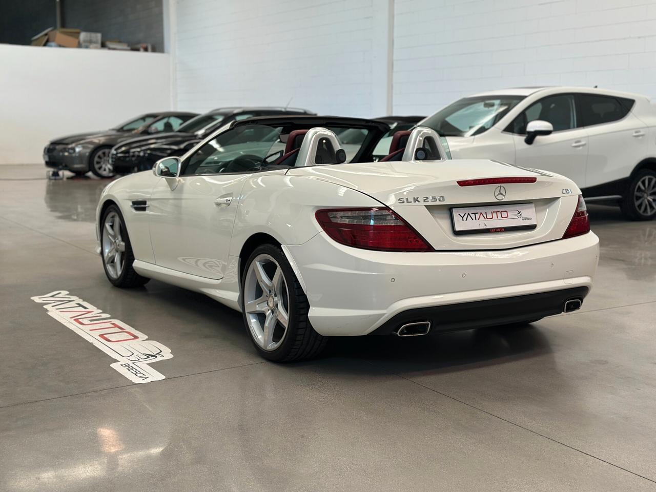 Mercedes-benz SLK 250 CDI BlueEFFICIENCY Premium