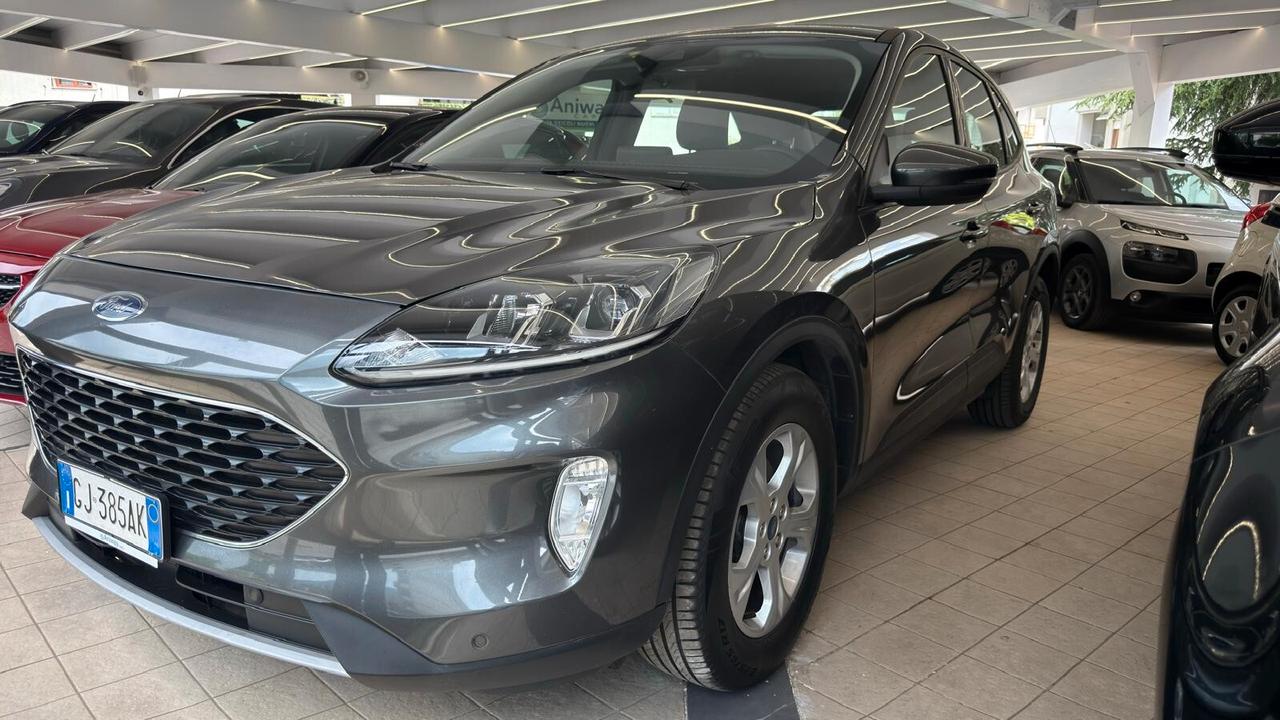 Kuga 1.5 EcoBlue 120 CV automatica 2WD Connect UNICO PROPRIETARIO
